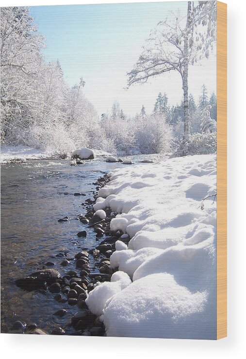 River Wood Print featuring the photograph The River in Winter by Peter Mooyman