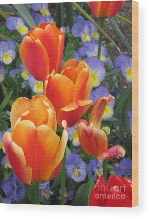 Tulips Wood Print featuring the photograph The Secret Life of Tulips - 2 by Rory Siegel