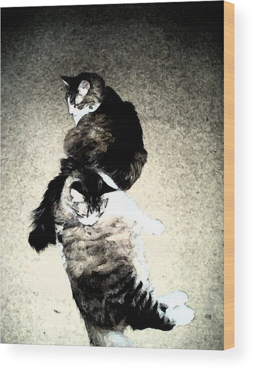 Cat Wood Print featuring the digital art The Twins by Eric Forster