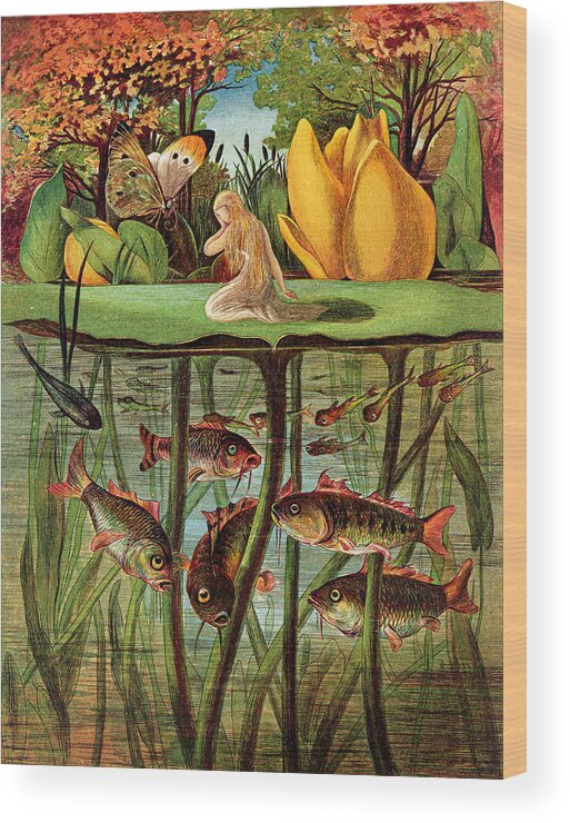 Fish; Carp; Goldfish; Pond; Butterfly; Under Water; Poucette Wood Print featuring the painting Tommelise very desolate on the water lily leaf in 'Thumbkinetta' by Hans Christian Andersen and Eleanor Vere Boyle