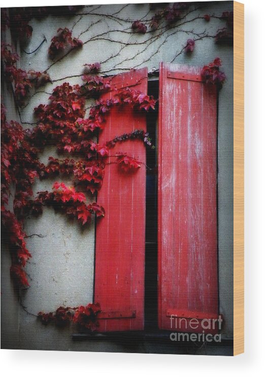 Red Wood Print featuring the photograph Vines on Red Shutters by Lainie Wrightson