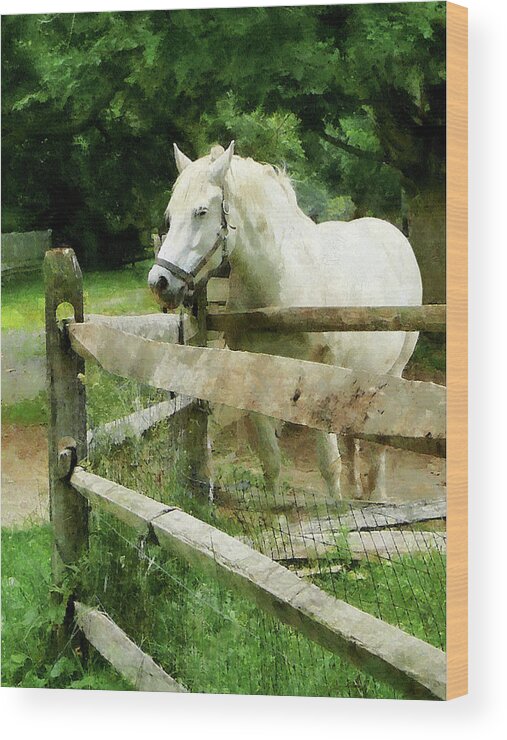 Horse Wood Print featuring the photograph White Horse in Paddock by Susan Savad