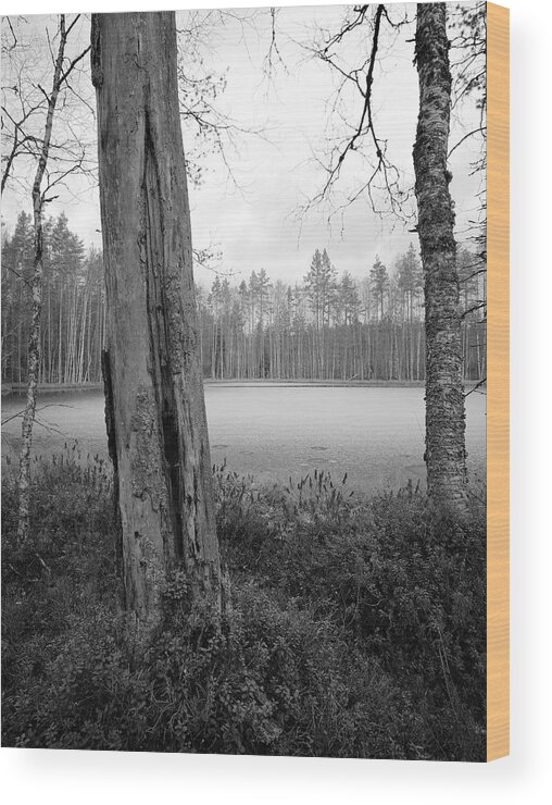 Lehtokukka Wood Print featuring the photograph Liesilampi 3 by Jouko Lehto
