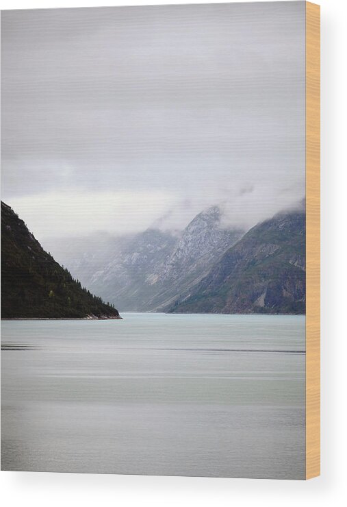 Ocean Wood Print featuring the photograph Alaska Coast #2 by Paul Ross