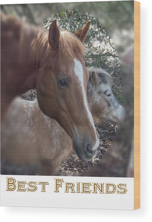 Friends Wood Print featuring the photograph Best Friends #1 by Judy Hall-Folde