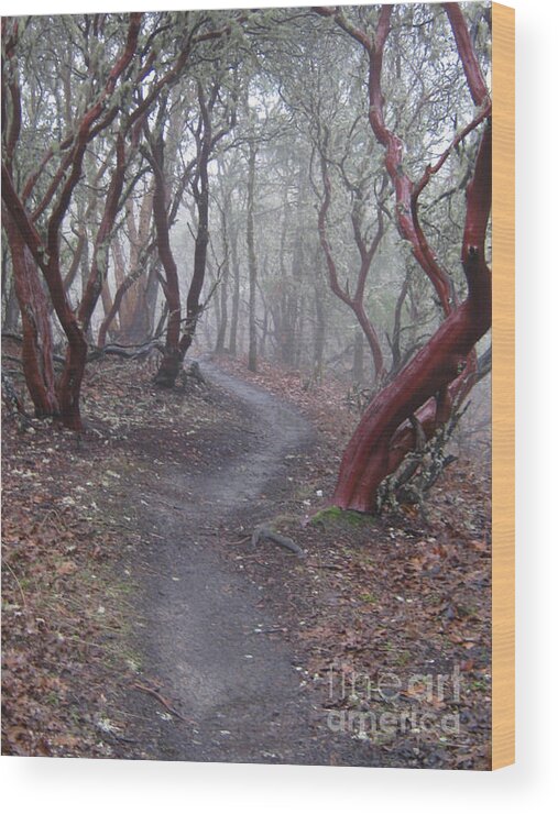 Cathedral Hills Wood Print featuring the photograph Cathedral Hills Serenity #1 by Marie Neder