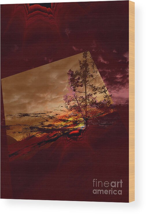 Tree Wood Print featuring the photograph Sechelt Tree 3 #1 by Elaine Hunter