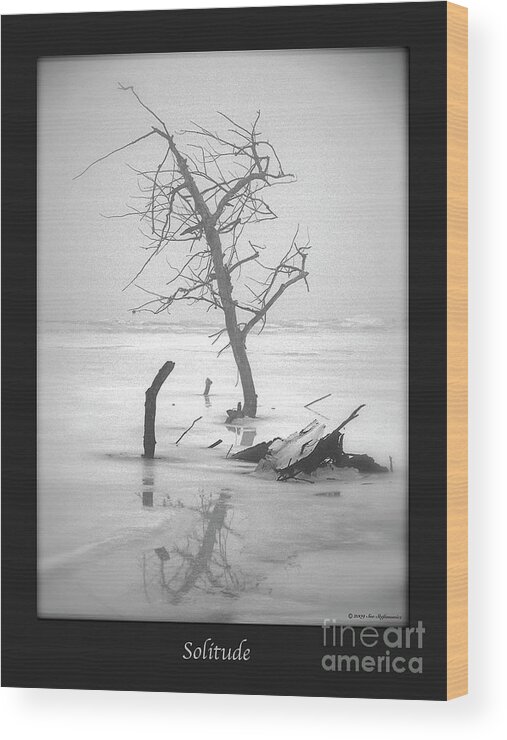 Black And White Photography Wood Print featuring the photograph Solitude #1 by Sue Stefanowicz