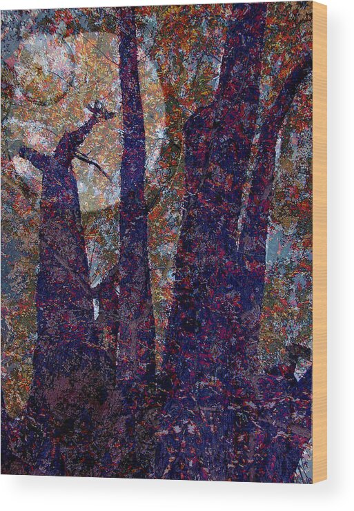 Tree Wood Print featuring the photograph Splayed Trunks #1 by Carol Everhart Roper