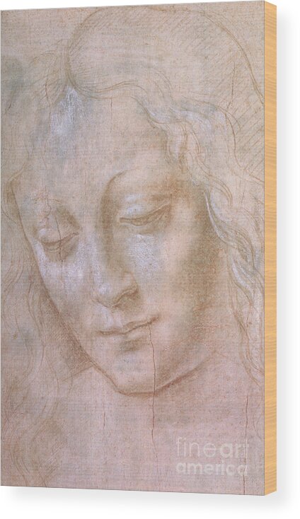 Leonardo Da Vinci Wood Print featuring the painting Head Of A Woman #1 by Leonardo Da Vinci