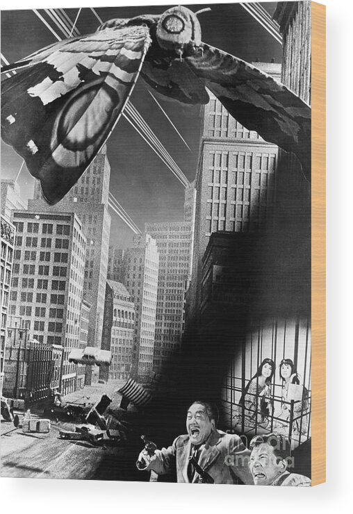 1961 Wood Print featuring the photograph Mothra, 1961 #2 by Granger