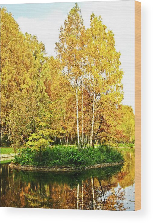Autumn Wood Print featuring the photograph Autumn landscape #4 by Irina Afonskaya