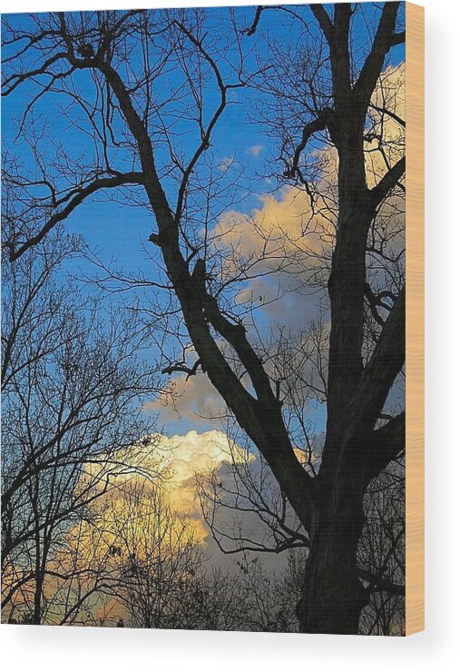 Sunset Wood Print featuring the photograph February Sunset #4 by Betty Buller Whitehead