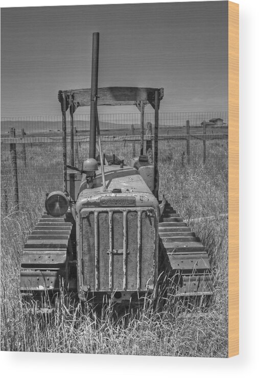 Cat Wood Print featuring the photograph A Forgotten Dozer Black and White by Ken Smith