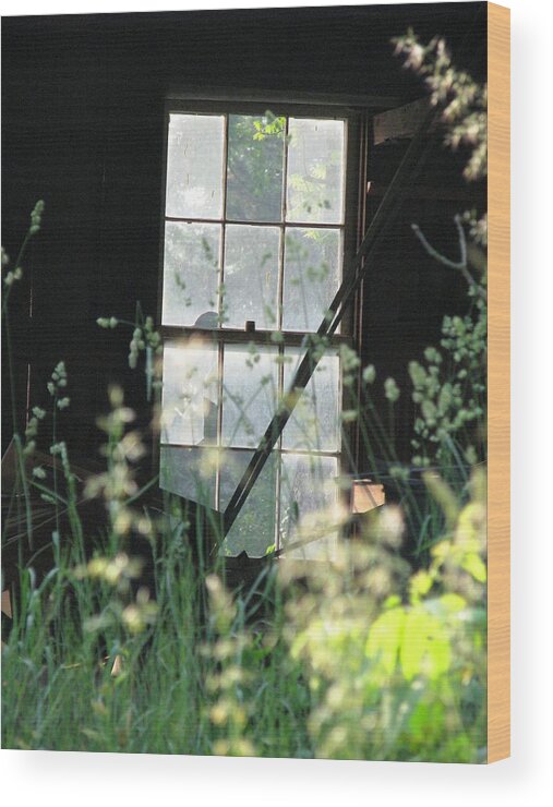 Broken Window Wood Print featuring the photograph Abandoned by Angela Davies