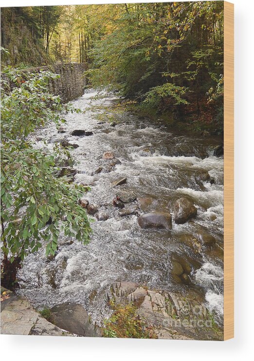 Photography Wood Print featuring the photograph Abrams Creek In Tennessee by Phil Perkins