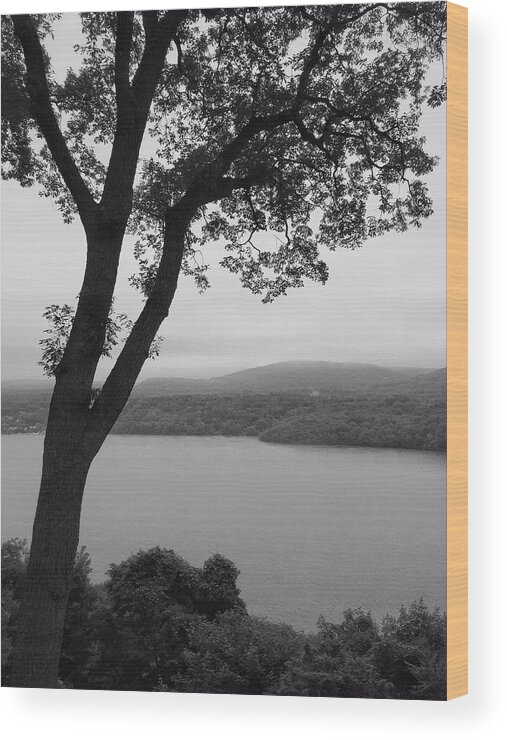 River Wood Print featuring the photograph Across the Hudson by Frank Mari