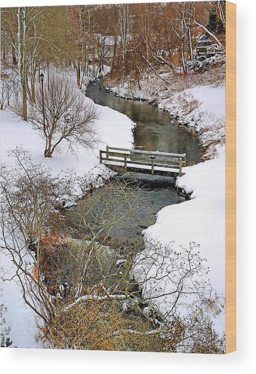 Town Brook Wood Print featuring the photograph Along Town Brook Plymouth MA by Janice Drew