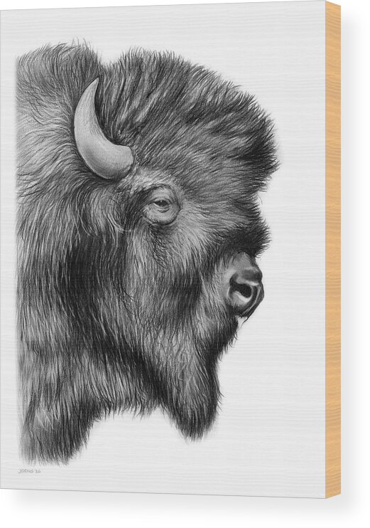 Bison Wood Print featuring the drawing American Bison by Greg Joens