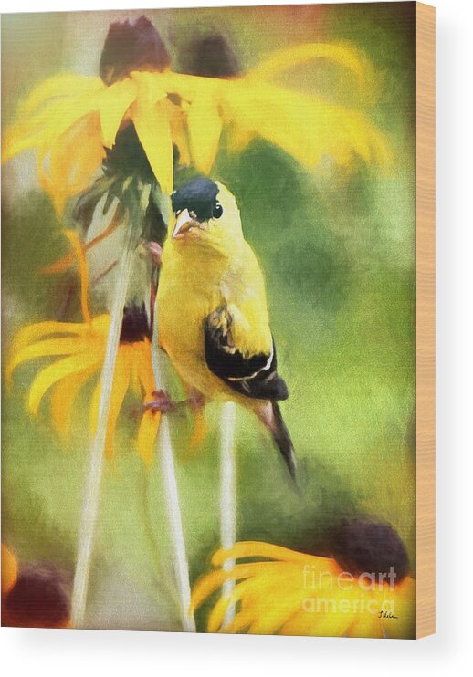 American Goldfinch Wood Print featuring the mixed media American Goldfinch by Tina LeCour