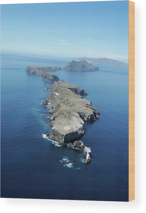 Anacapa Island Wood Print featuring the photograph Anacapa Island by Liz Vernand
