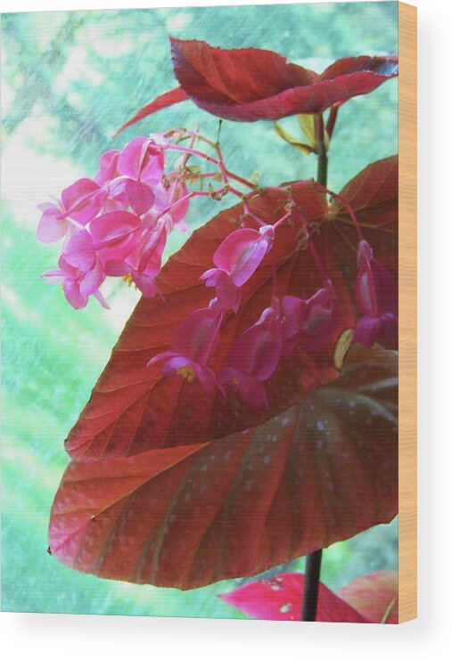 Flower Wood Print featuring the photograph Angel Wing by Julie Rauscher
