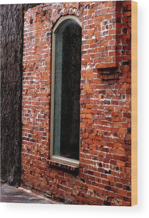 Window Wood Print featuring the photograph Arch by Bob Johnson