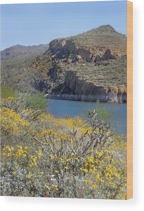 Verde Wood Print featuring the photograph Arizona Spring by Gordon Beck