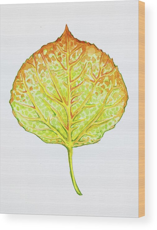Orange Wood Print featuring the painting Aspen Leaf - Green and Orange by Aaron Spong