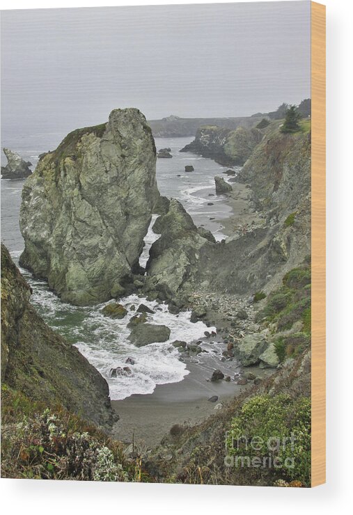 Northern California Wood Print featuring the photograph At the Edge by Joyce Creswell