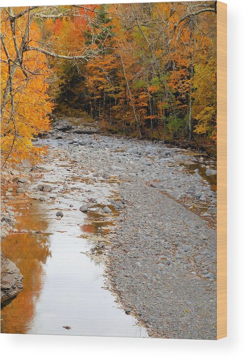 Autumn Creek Wood Print featuring the painting Autumn creek 9 by Jeelan Clark