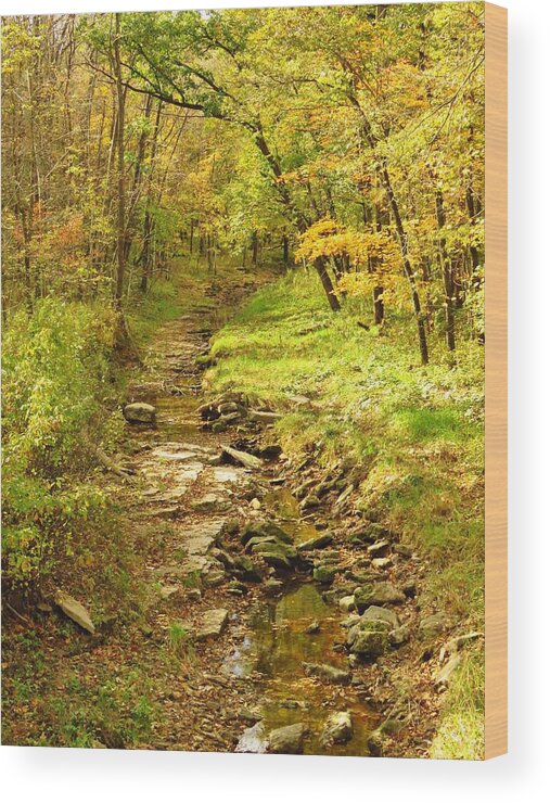 Creek Wood Print featuring the photograph Autumn Pathways by Lori Frisch