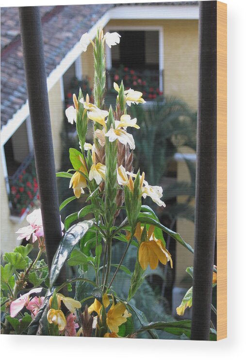  Wood Print featuring the photograph Balcony View by Ron Monsour