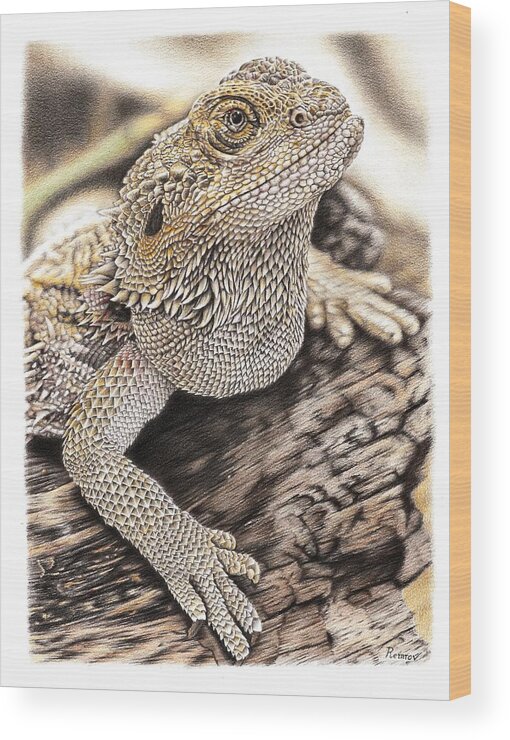 Bearded Dragon Wood Print featuring the drawing Bearded Dragon by Casey 'Remrov' Vormer
