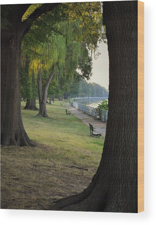 Potomac Wood Print featuring the photograph Benches Framed By Trees by Mark Mitchell