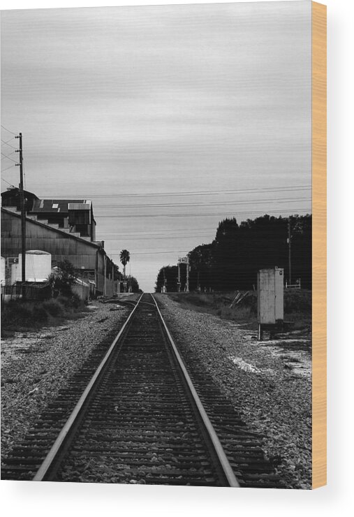 Train Wood Print featuring the photograph Black and White Lake Alfred Siding by Christopher Mercer