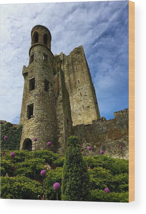 Ireland Wood Print featuring the photograph Blarney castle by Sue Morris