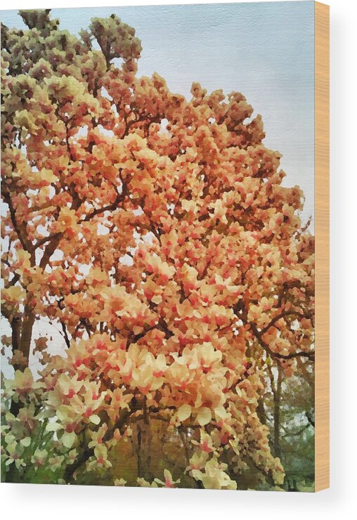 Tree Wood Print featuring the painting Blossoming Tree by Chris Montcalmo