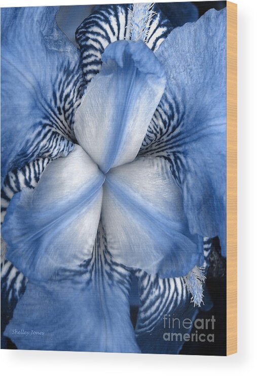 Jphotography Wood Print featuring the photograph Blue Tiger Iris by Shelley Jones