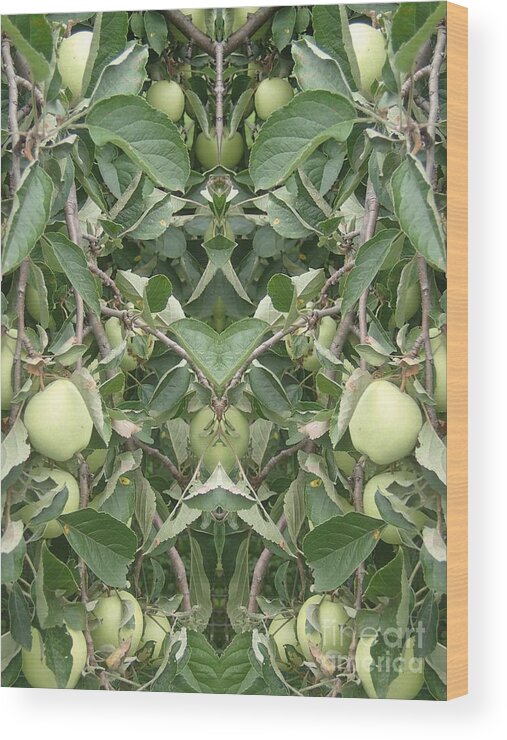 Apples Wood Print featuring the photograph Bounty by Christina Verdgeline