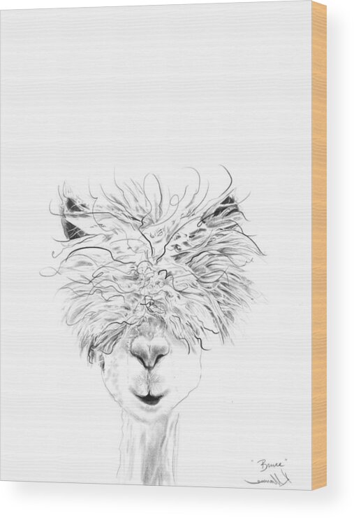Llama Art Wood Print featuring the drawing Bruce by Kristin Llamas