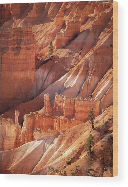 Bryce Canyon Wood Print featuring the photograph Bryce Canyon by Emily Dickey