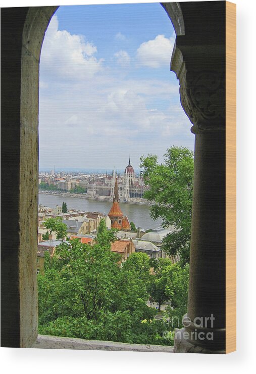 Budapest Wood Print featuring the photograph Budapest by Ann Horn