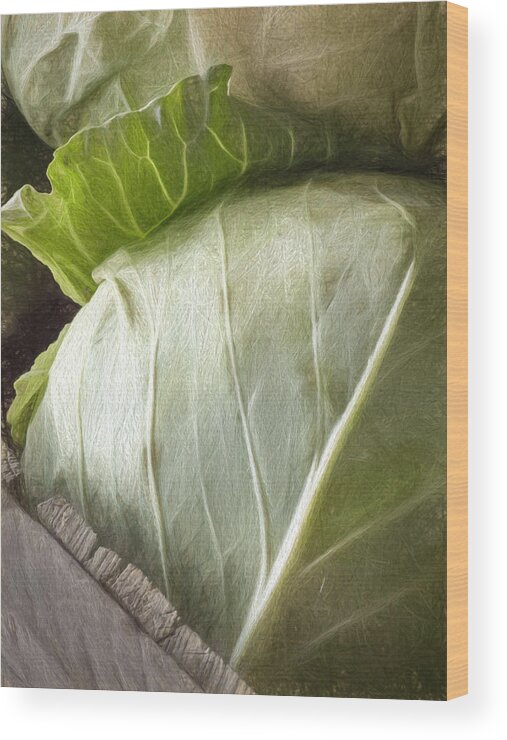 Cabbages Wood Print featuring the photograph Cabbages by Diane Moore