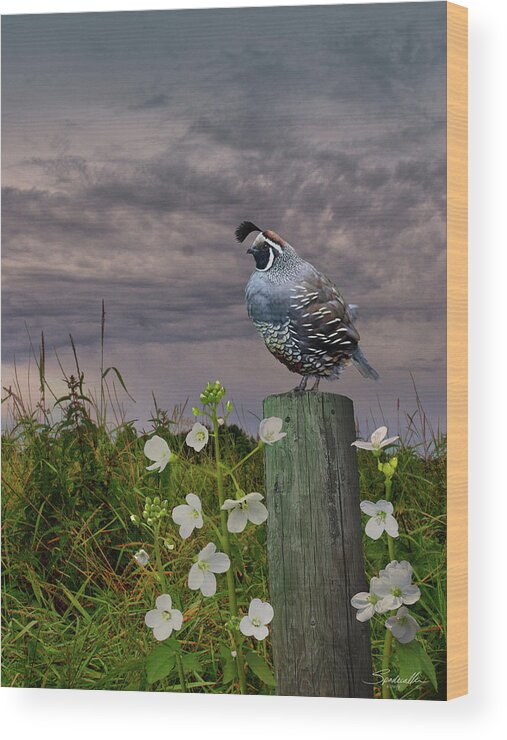 Bird Wood Print featuring the digital art California Quail and Milkmaids by M Spadecaller