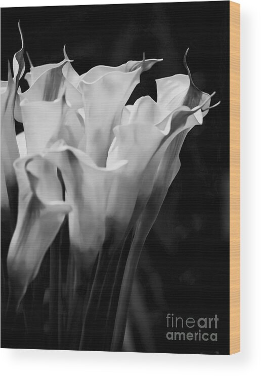 Calla Lily Wood Print featuring the photograph Calla Lily Flowers by James Aiken