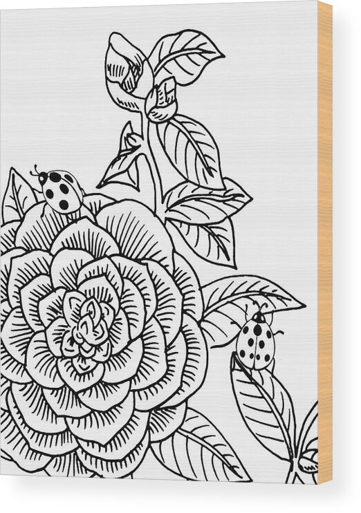 Camellia Wood Print featuring the drawing Camellia And Ladybugs Drawing by Irina Sztukowski