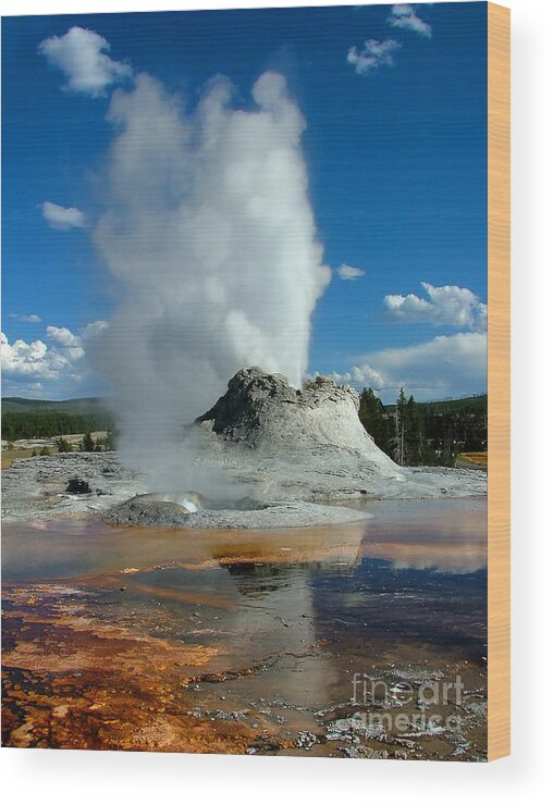 Castle Geyser Wood Print featuring the photograph Castle Geyser Puttin by Katie LaSalle-Lowery