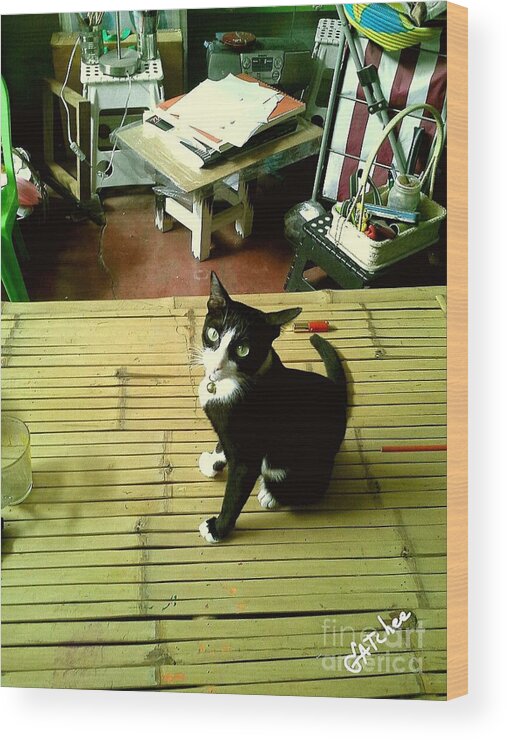 Cat Wood Print featuring the photograph Cat on A Bamboo Litter by Sukalya Chearanantana