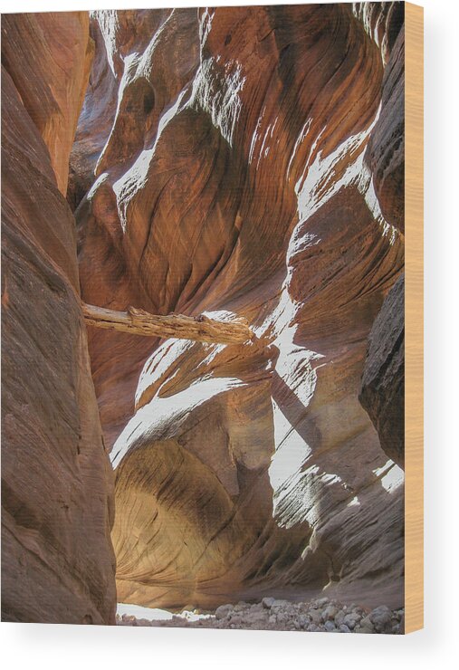 Utah Wood Print featuring the photograph Caught in a slot by Gaelyn Olmsted